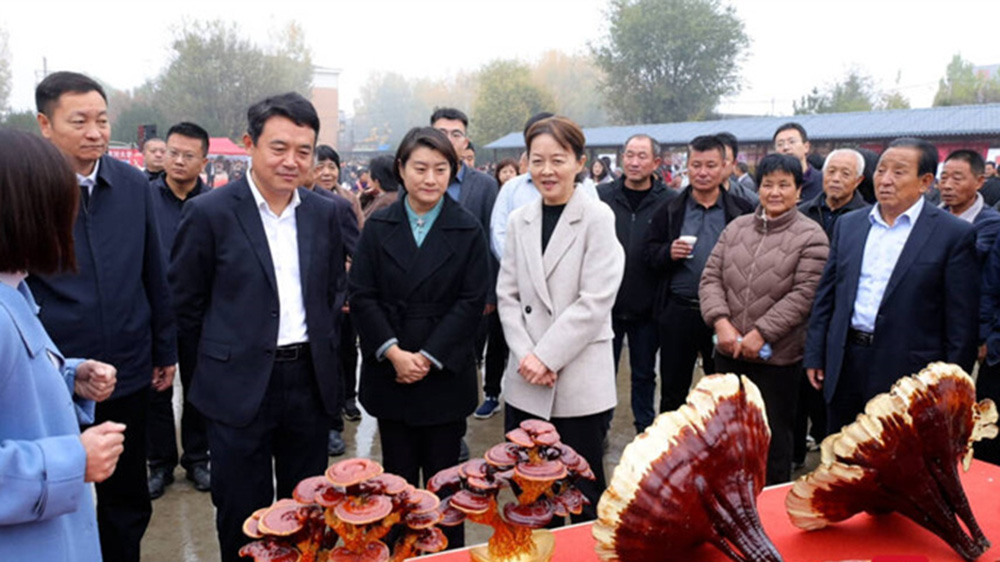 岱岳區(qū)祝陽(yáng)鎮(zhèn)“靈芝文化旅游節(jié)”現(xiàn)場(chǎng)圖.jpg
