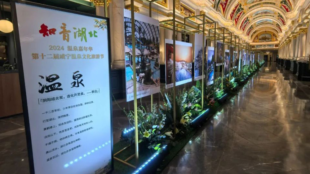 第十二屆咸寧溫泉文化旅游節(jié)現(xiàn)場(chǎng)圖.jpg